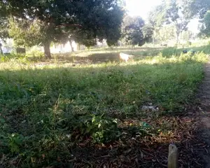 Viwanja Vinauzwa Bei Nafuu Sana,Dege Kigamboni