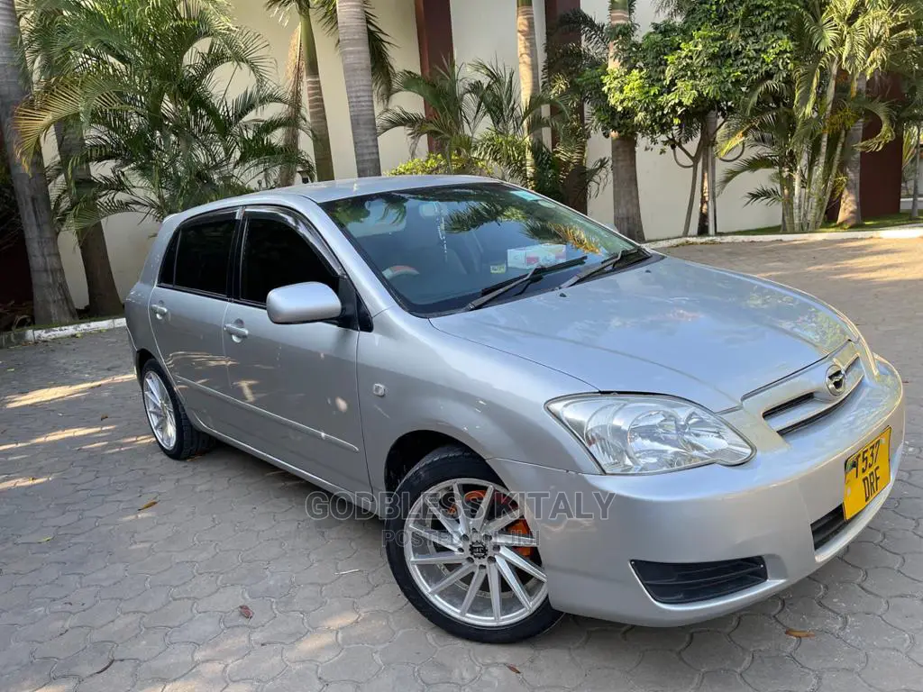 Toyota Allex 2001 Silver