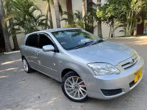 Toyota Allex 2001 Silver