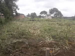 Viwanja Arusha Na Kilimanjaro Kwa Bei Nafuu