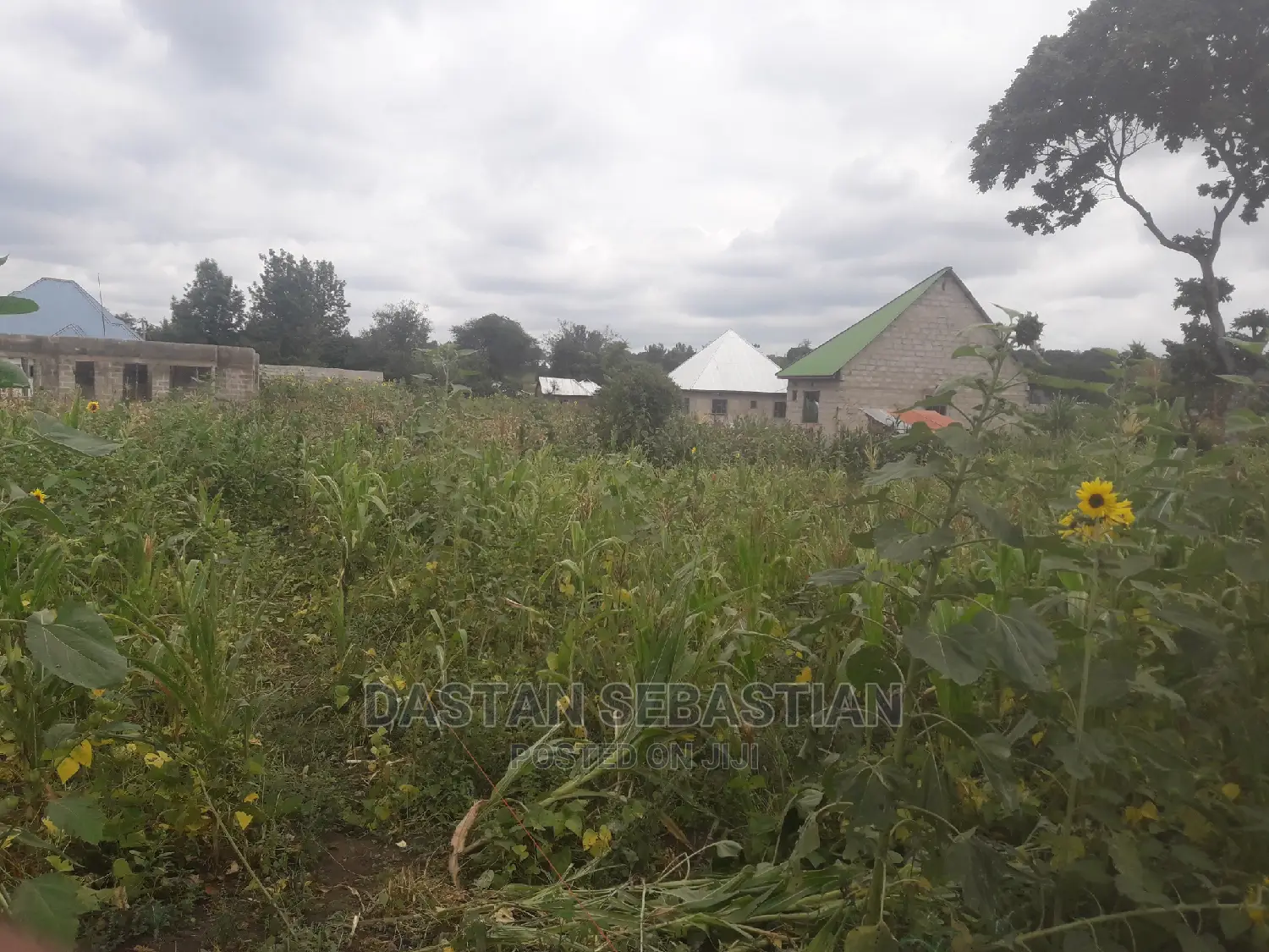 Viwanja Arusha Na Kilimanjaro Kwa Bei Nafuu