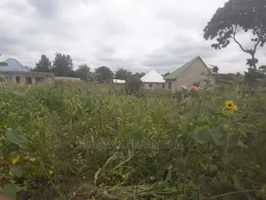 Viwanja Arusha Na Kilimanjaro Kwa Bei Nafuu