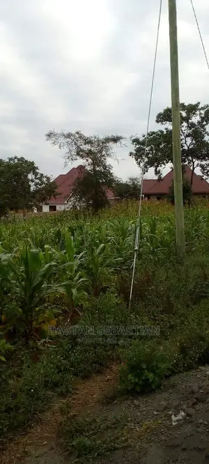 Viwanja Arusha Na Kilimanjaro