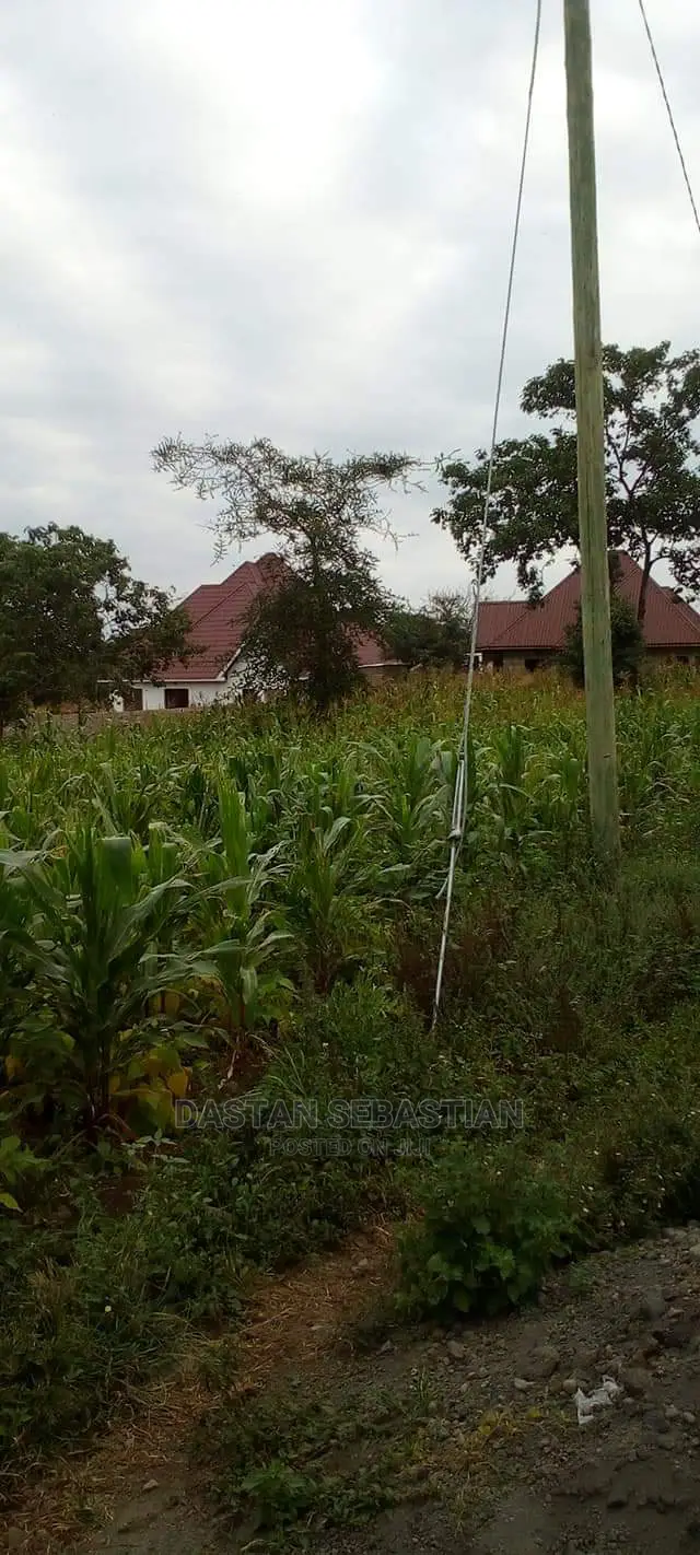 Viwanja Arusha Na Kilimanjaro