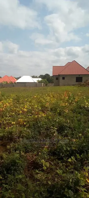 Viwanja Arusha Na Kilimanjaro