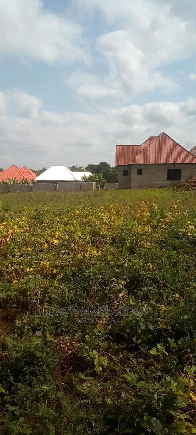 Viwanja Arusha Na Kilimanjaro