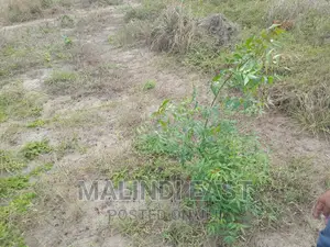 Kigamboni Surveyed Plots for Sale by Owner Starting 9m