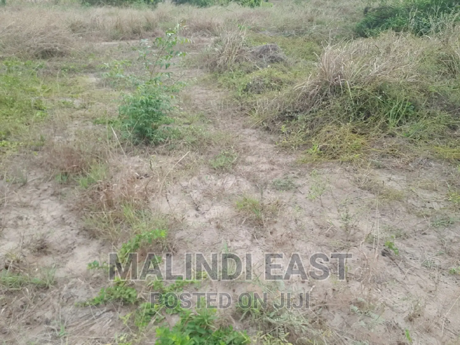 Kigamboni Amani Beach at Avic Town Plot for Sale Kigamboni