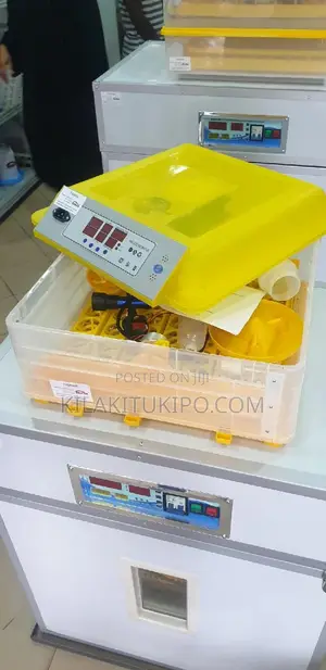 48 Eggs Incubator