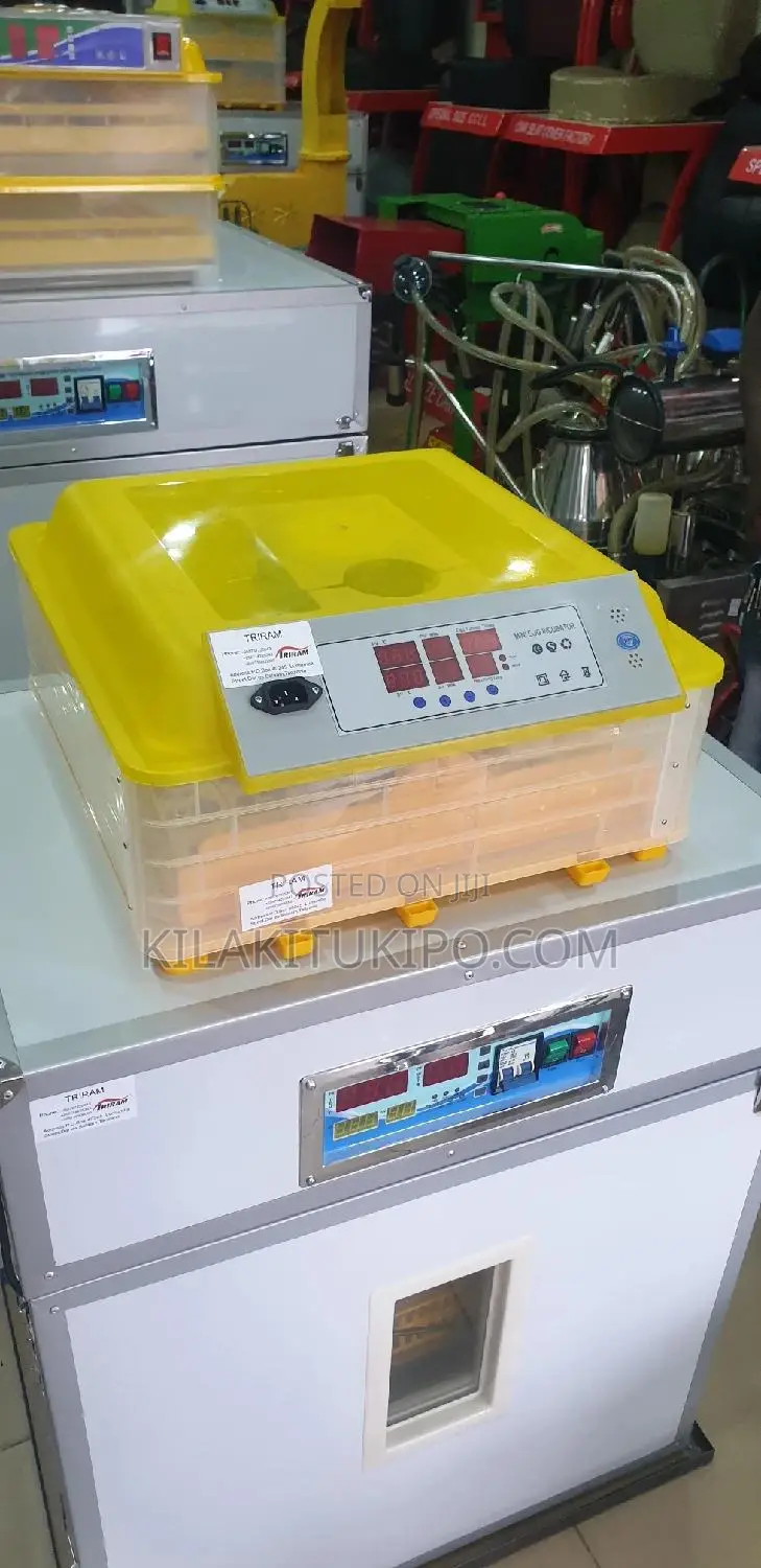 48 Eggs Incubator