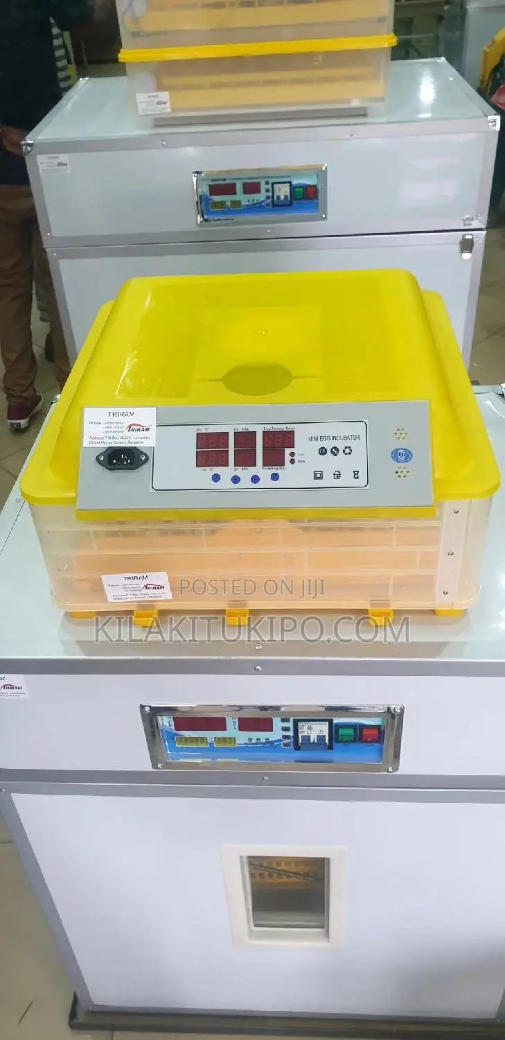 48 Eggs Incubator