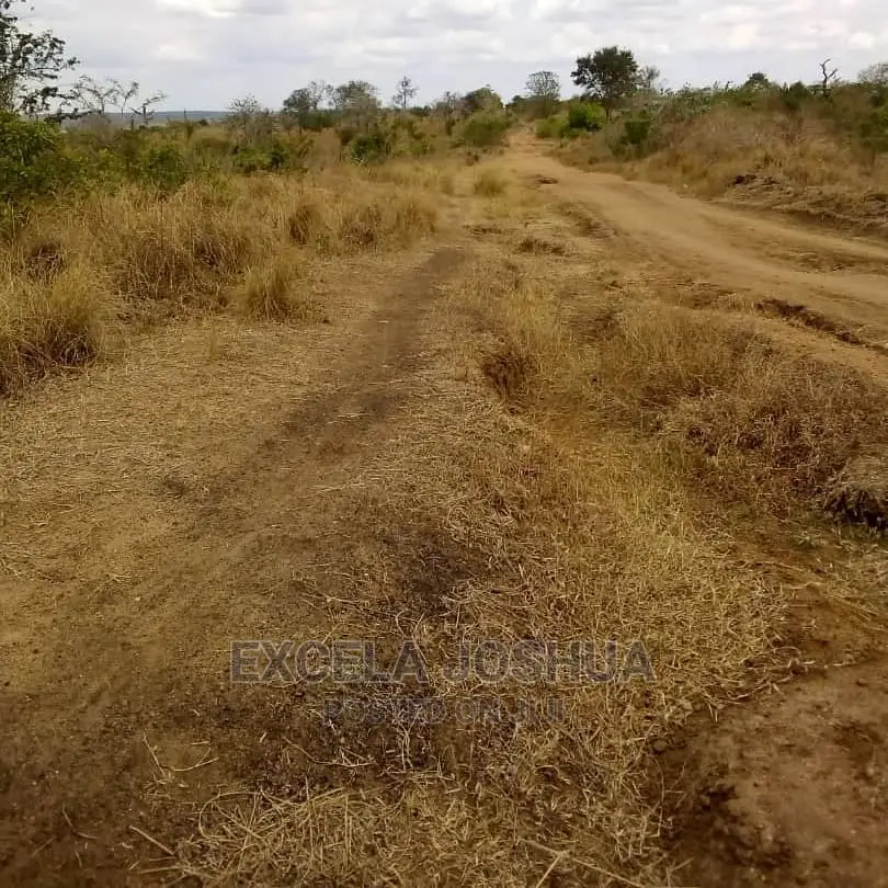 Shamba Linauzwa Kiwangwa Bagamoyo