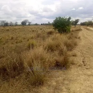 Shamba Linauzwa Kiwangwa Bagamoyo