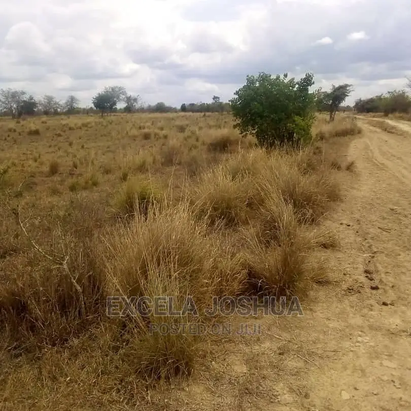 Shamba Linauzwa Kiwangwa Bagamoyo