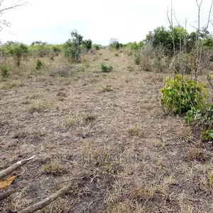 Shamba Linauzwa Kiwangwa Bagamoyo