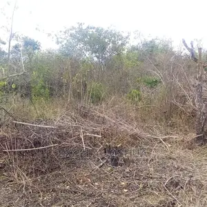 Eneo Zuri Linafaa Kwa Kilimo Au Kufugia Linauzwa Bagamoyo