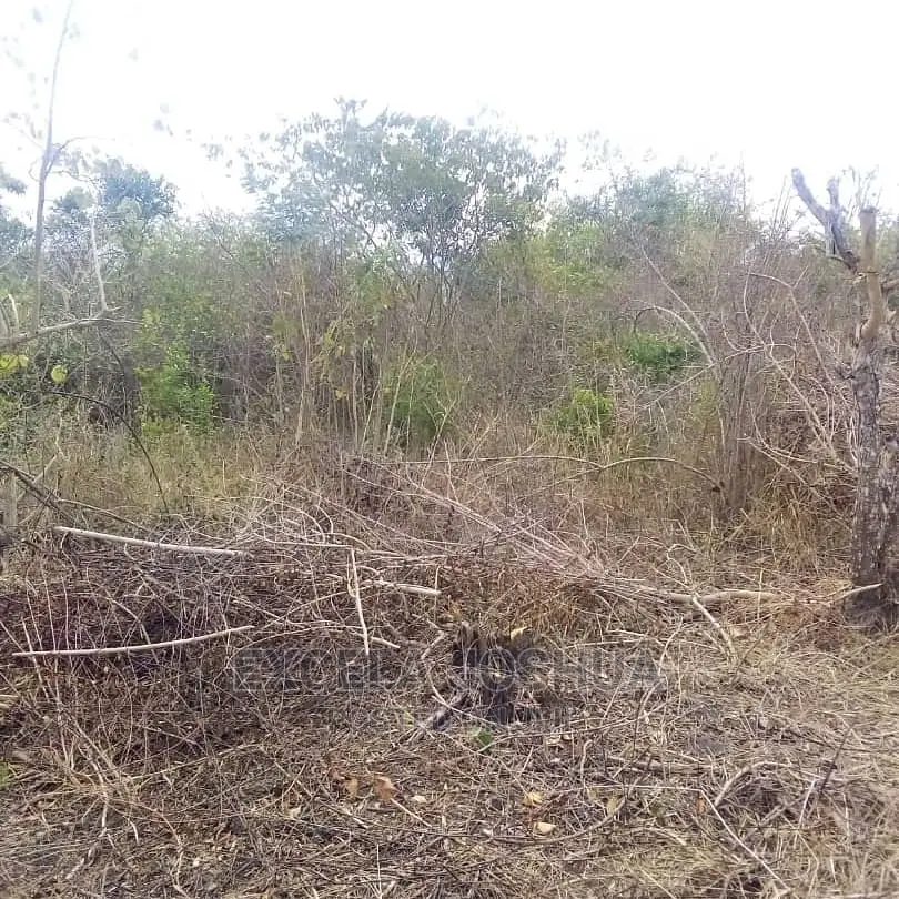 Eneo Zuri Linafaa Kwa Kilimo Au Kufugia Linauzwa Bagamoyo