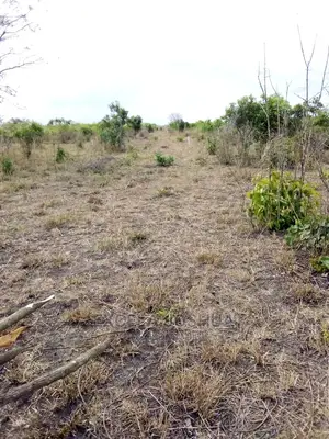 Eneo Zuri Linafaa Kwa Kilimo Au Kufugia Linauzwa Bagamoyo