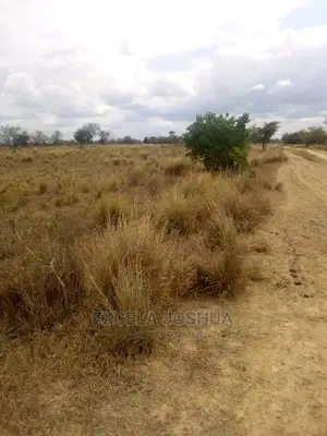 Eneo Zuri Linafaa Kwa Kilimo Au Kufugia Linauzwa Bagamoyo