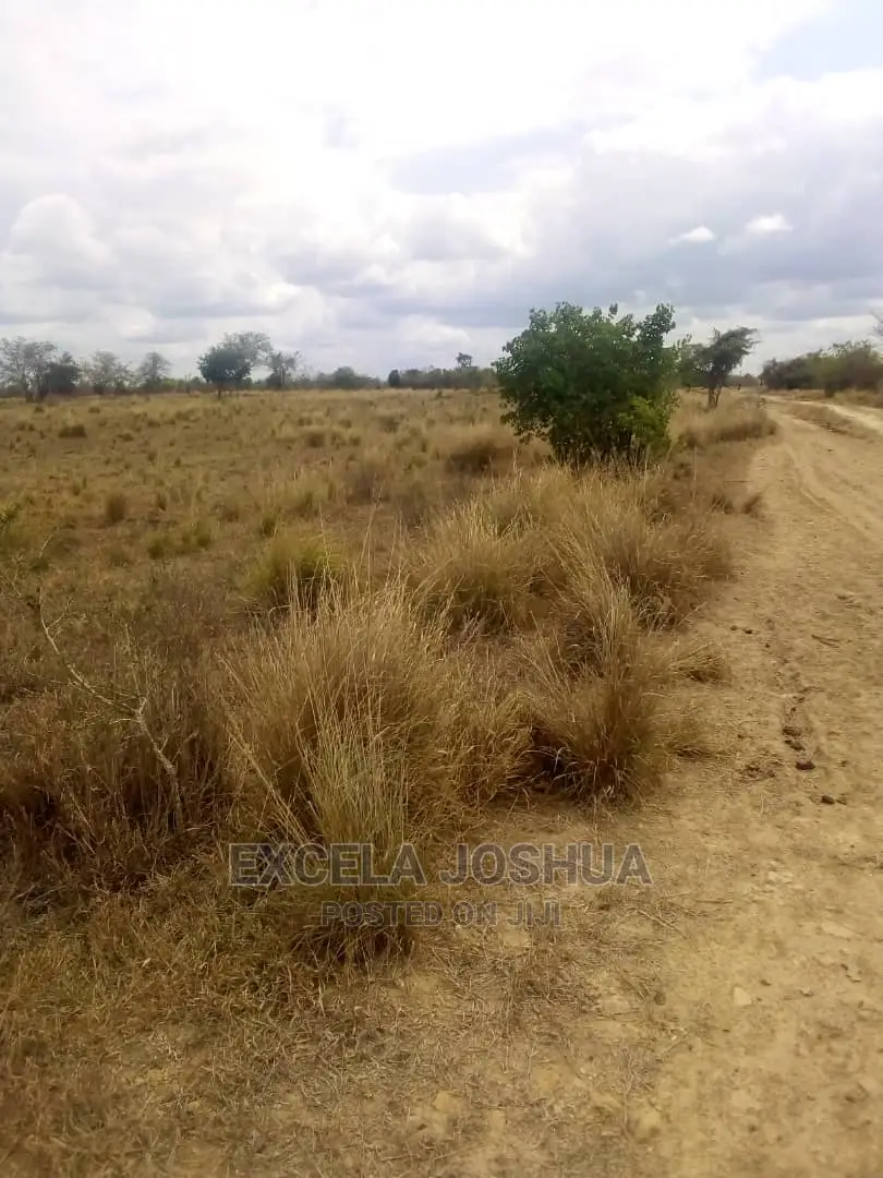 Eneo Zuri Linafaa Kwa Kilimo Au Kufugia Linauzwa Bagamoyo