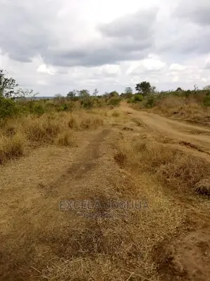 Eneo Zuri Linafaa Kwa Kilimo Au Kufugia Linauzwa Bagamoyo