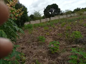 Plot 4sale at Mbweni Mpiji