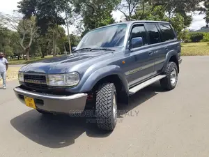 Toyota Land Cruiser 1996 Gray
