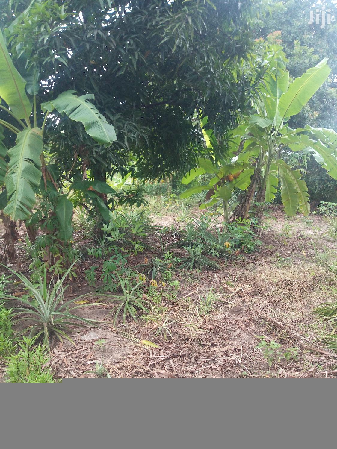 Kiwanja Kinauzwa Kibaha