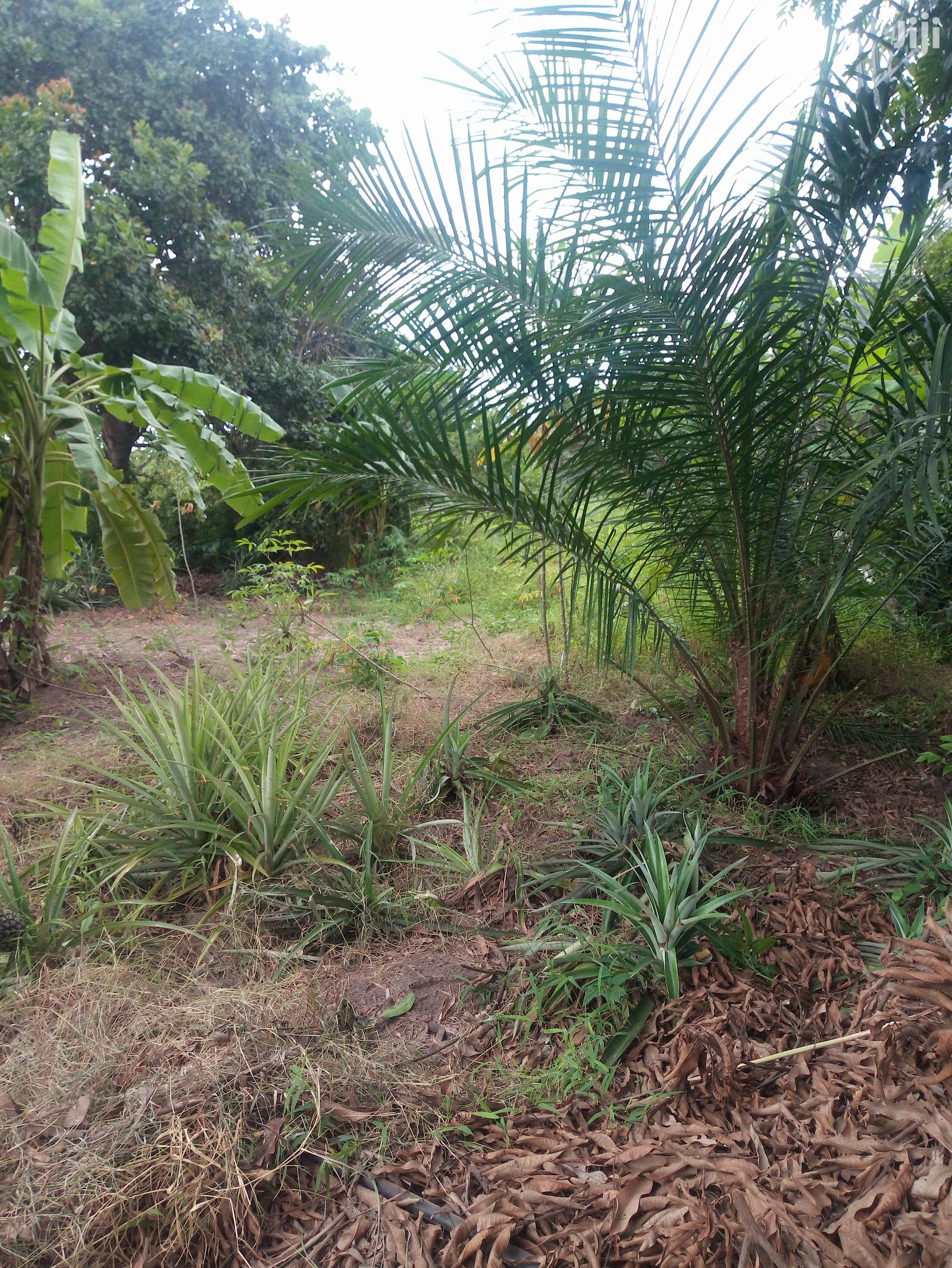 Kiwanja Kinauzwa Kibaha