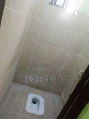 2bdrm Apartment in Kigamboni for rent