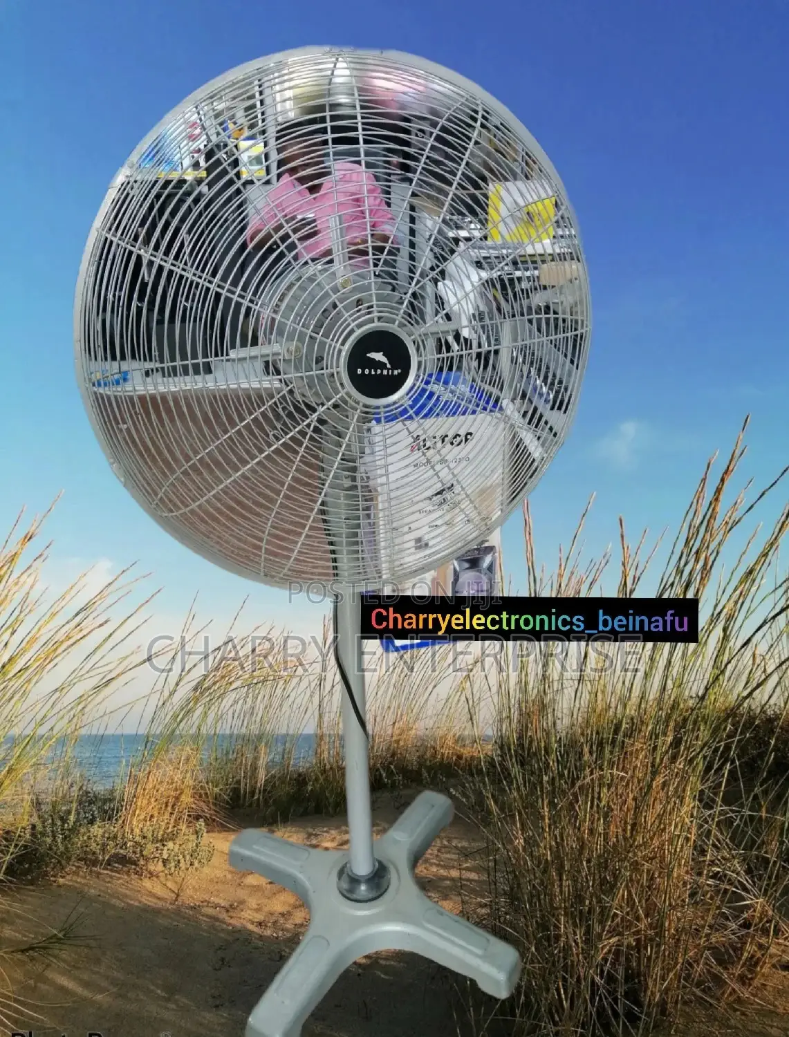 Dolphin Stand Fan