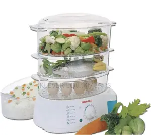 Electric Food Steamer
