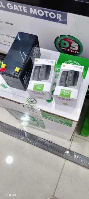 Electric Motor Gate