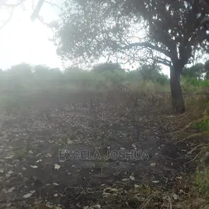 Kiwanja Kina Msingi Kinauzwa Kibaha