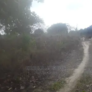 Kiwanja Kina Msingi Kinauzwa Kibaha