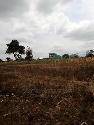 Viwanja Vya Makazi Arusha Na Kilimanjaro
