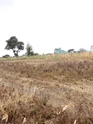 Viwanja Vya Makazi Arusha Na Kilimanjaro