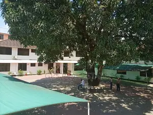 An Office Building for Rent