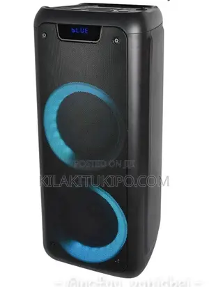 Rechargeable Bluetooth Speaker Djoon 300