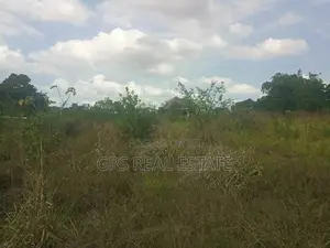 A Good Plot for Sale at Picha Ya Ndege