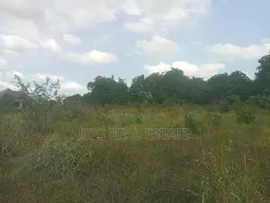 A Good Plot for Sale at Picha Ya Ndege