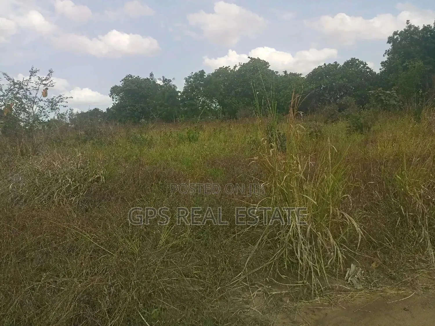 A Good Plot for Sale at Picha Ya Ndege