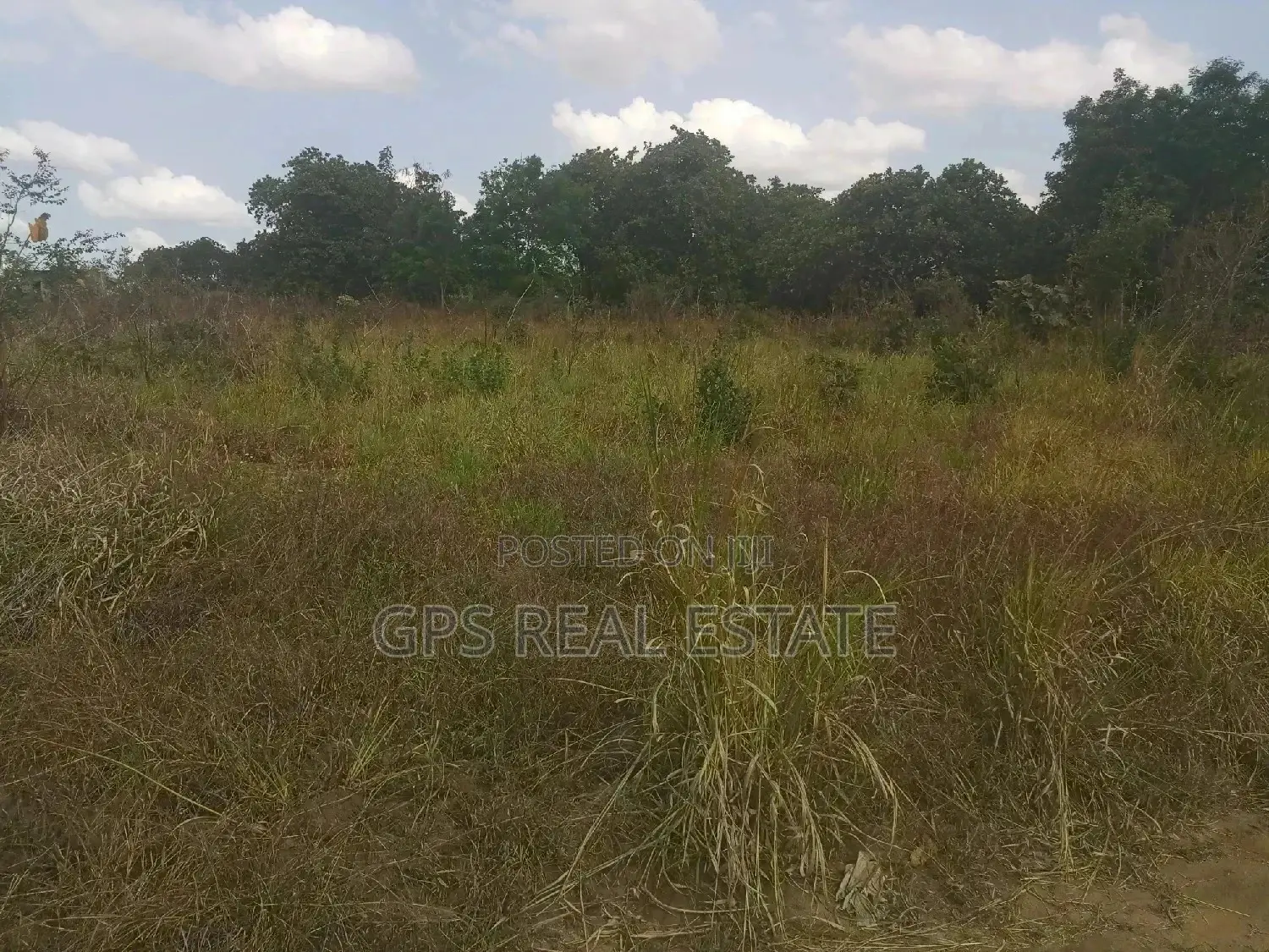 A Good Plot for Sale at Picha Ya Ndege