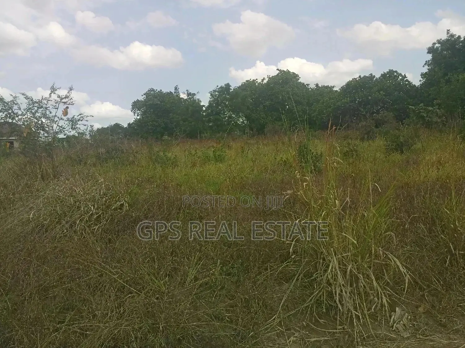 A Good Plot for Sale at Picha Ya Ndege