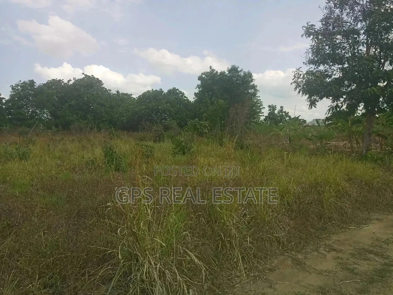 A Good Plot for Sale at Picha Ya Ndege