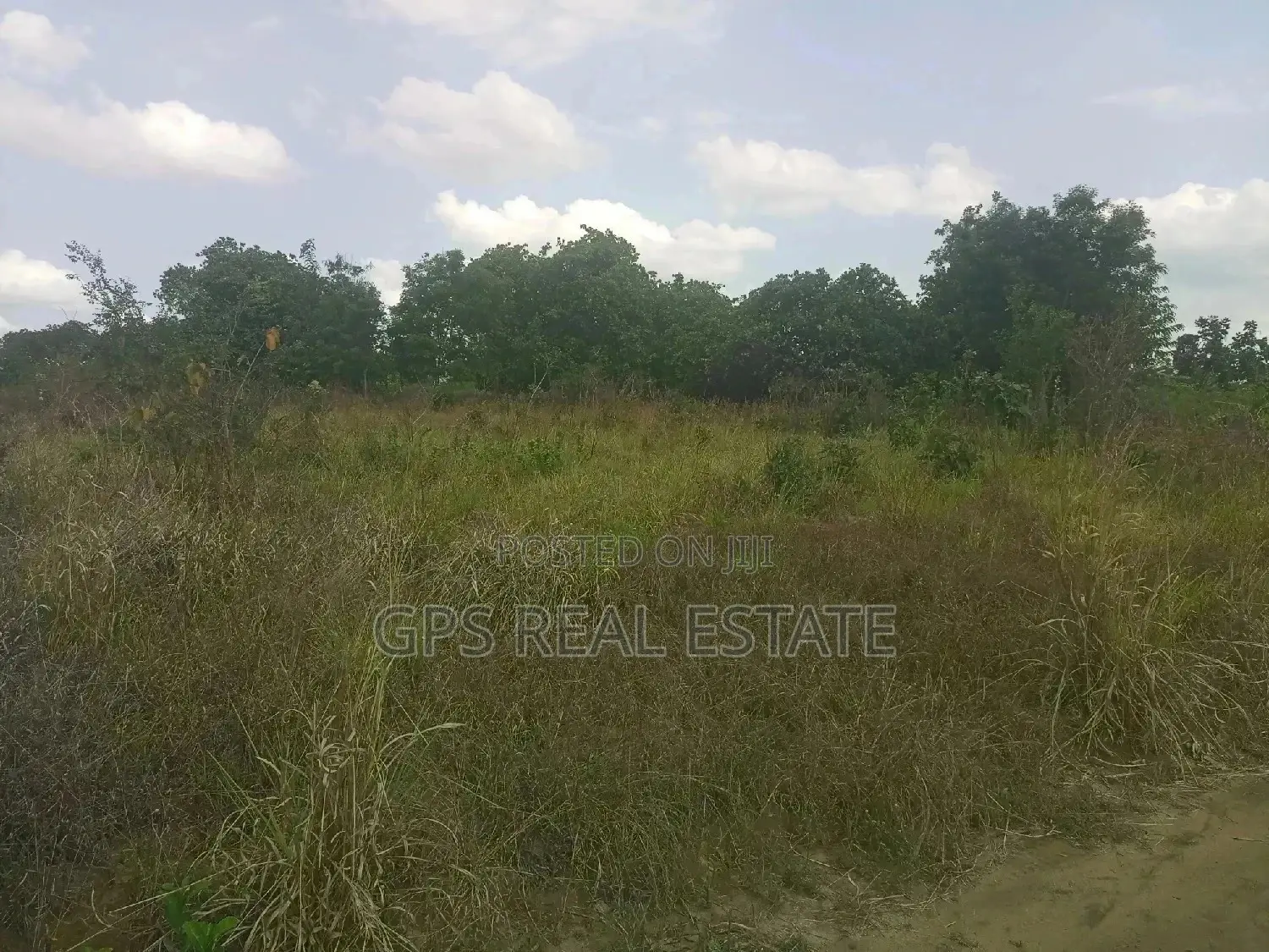 A Good Plot for Sale at Picha Ya Ndege
