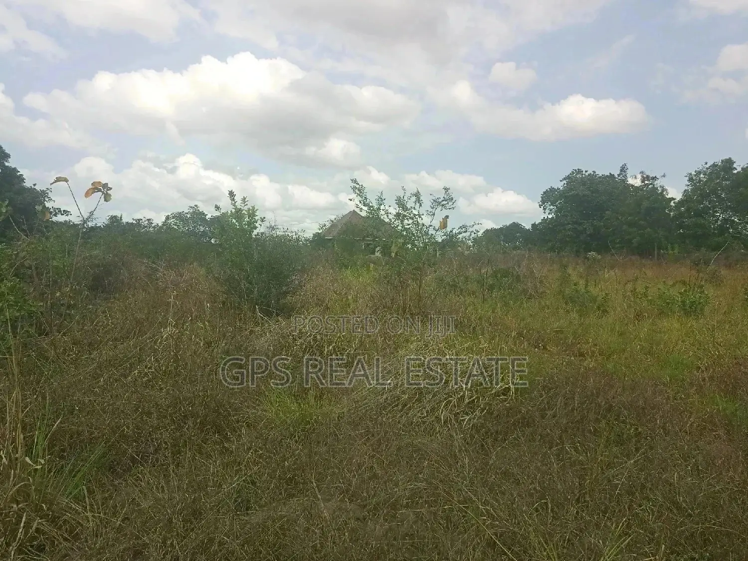 A Good Plot for Sale at Picha Ya Ndege