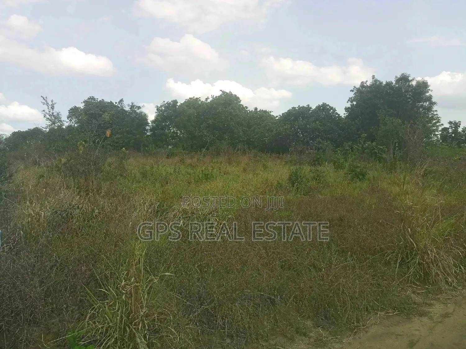 A Good Plot for Sale at Picha Ya Ndege