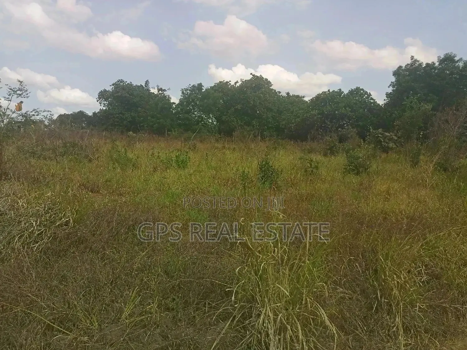 A Good Plot for Sale at Picha Ya Ndege