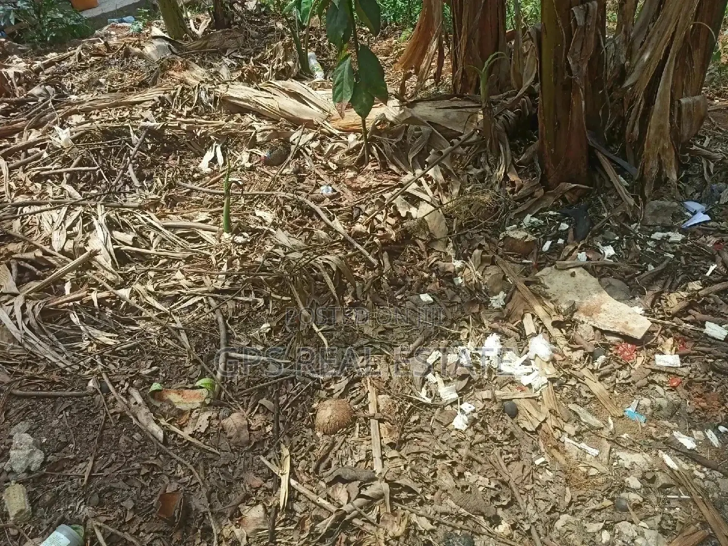 Farm Land for Sale at Mwasonga Kigamboni